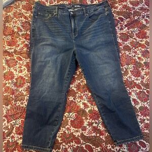 Torrid Trio Fit Skinny size 22-26 short